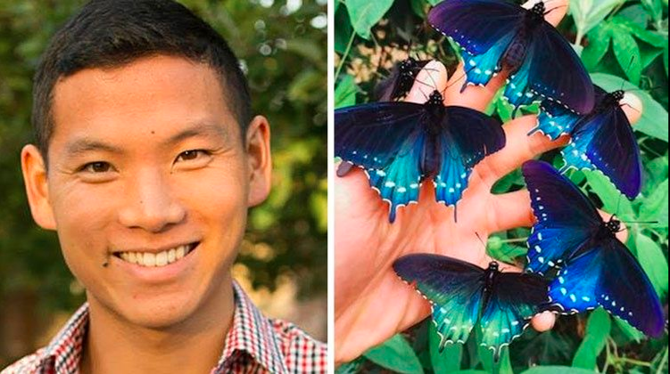 El biólogo que repobló una rara especie de mariposas en ¡su propio patio trasero!