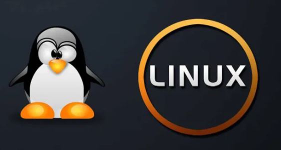 ¿Pensando dar vida a un ordenador antiguo? Las distribuciones de Linux más ligeras