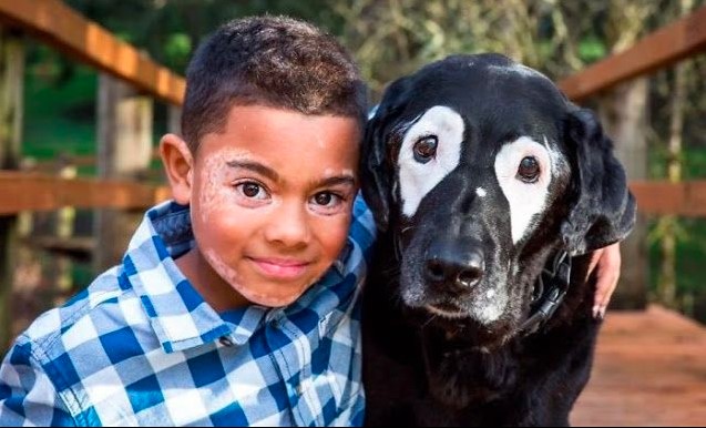 VIRAL: Perro con vitiligo cura depresión de niño con su misma afección