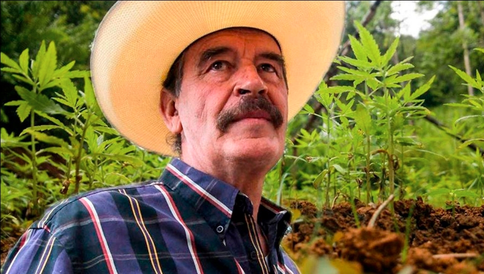 Usuarios recuerdan a Vicente Fox como el presidente marihuano de México