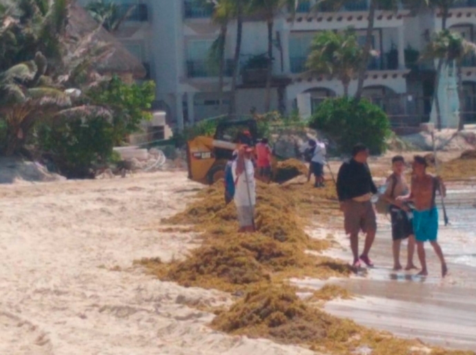 Contingencia sanitaria y ahora sargazo en Playa del Carmen