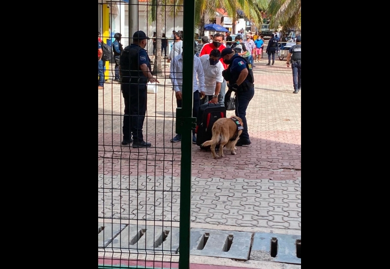 Hallan notas con amenaza de bomba en barco de Ultramar en Cozumel