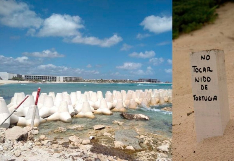 Palo a Grupo Posadas; le suspenden hotel en TULUM por ecocidio