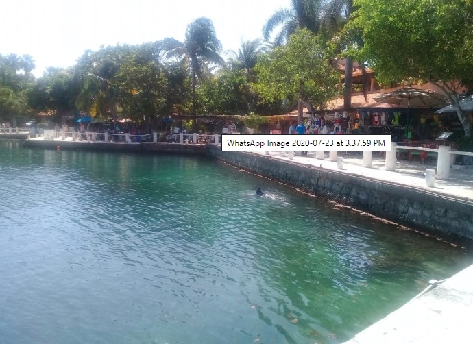 Restaurantes de Puerto Aventuras registran pocas ventas por culpa de la Seguridad Privada