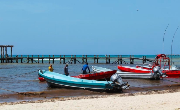 Playa del Carmen: Aperciben a 12 trabajadores náuticos por sobrepasar capacidad de embarcaciones