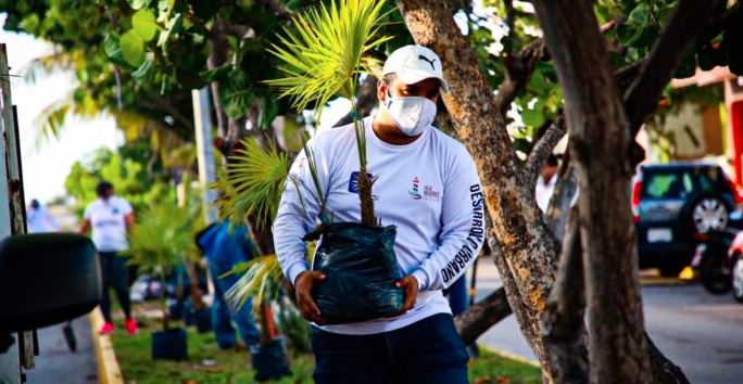 “ISLA MUJERES VERDE Y SALUDABLE”, UN COMPROMISO DE LA ACTUAL ADMINISTRACIÓN