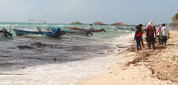 Estiman que termine pronto en recale de sargazo en Playa del Carmen