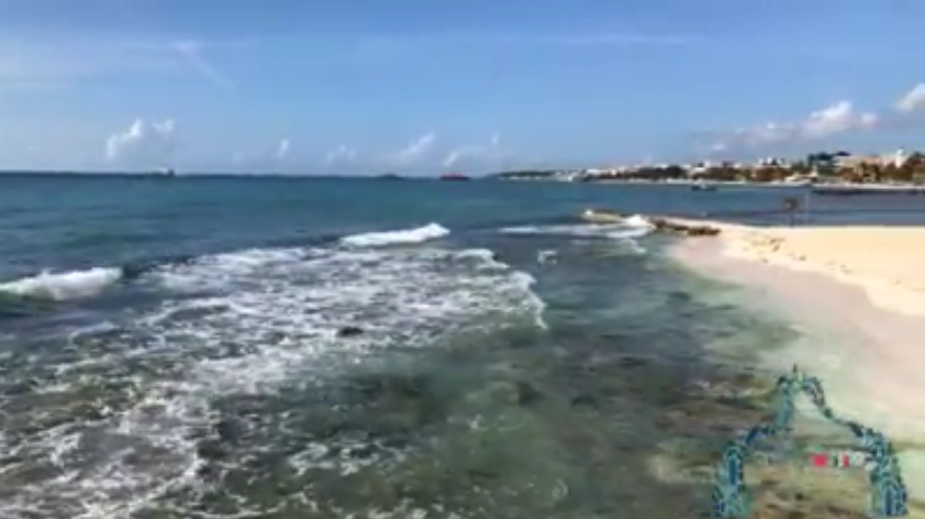 Se Observa Alto Oleaje en el Muelle de Playa del Carmen debido al Frente Frío No 11