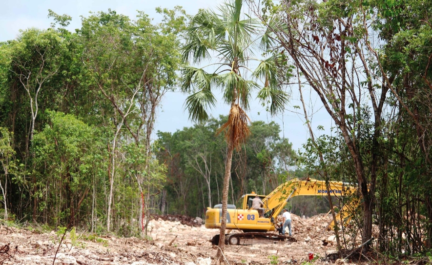 Inician trámites para construir mil 200 viviendas en Playa del Carmen