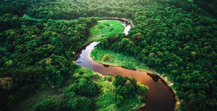 Amazonas podría morir en 2064, afirma científico