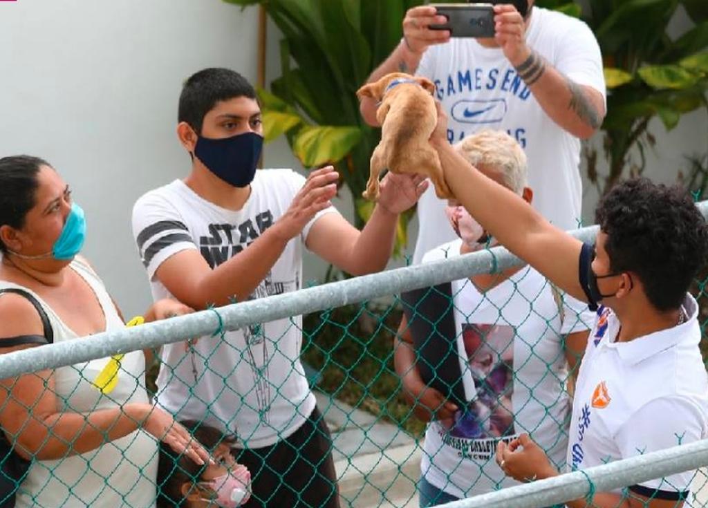 Realiza gobierno de Benito Juárez segunda campaña de adopción canina