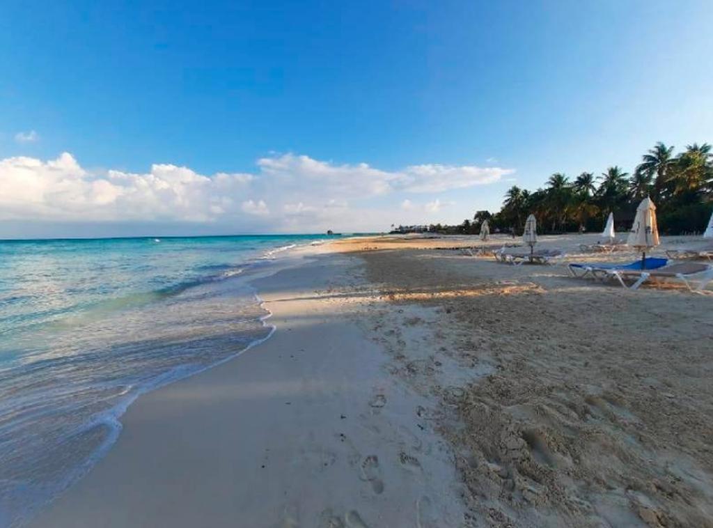 Mantienen libres de sargazo las playas de Isla Mujeres