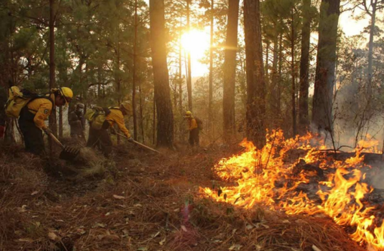 Lleva 25 días activo incendio en Cumbres de Monterrey