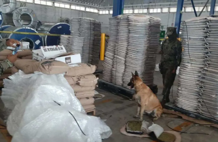 Decomisan una tonelada de marihuana en Colima