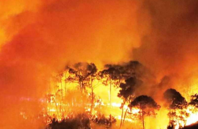 Sofocan incendio en el Cerro de la Cruz de Uruapan