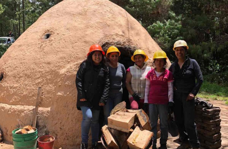 Estudia IPN producción sostenible de carbón vegetal en Oaxaca