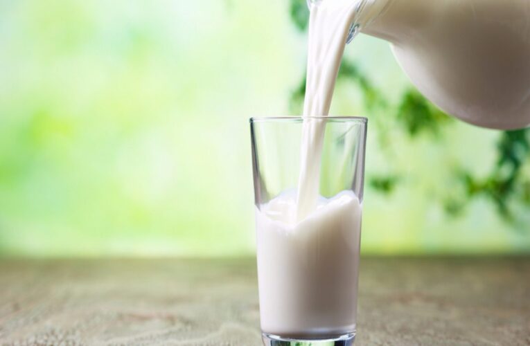 Día Internacional de la Leche: ¿Por qué se celebra a este alimento?