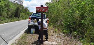 IMPULSAN JÓVENES DE COZUMEL CAMPAÑA PREVENTIVA PARA EVITAR ATROPELLAMIENTOS DE FAUNA SILVESTRE