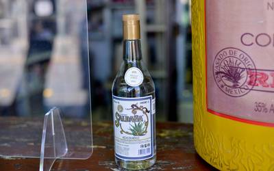 Mezcal potosino “por ley” será promocionado a nivel internacional