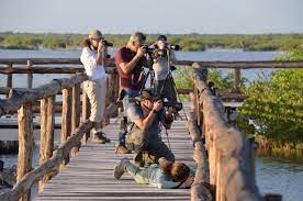 Cozumel, la primera Ciudad de las Aves de Latinoamérica