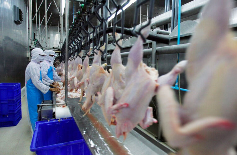 México aumentó sus importaciones de pollo desde Brasil