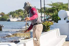 Dan mantenimiento al malecón y al parque Benito Juárez de Cozumel