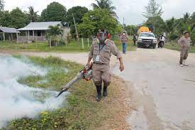 En Cozumel trabajan para prevenir enfermedades transmitidas por mosquitos