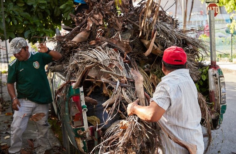 Retiran residuos verdes y cacharros en colonias de Cozumel