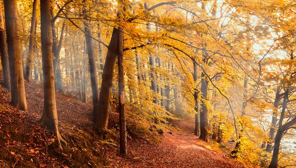 Equinoccio de otoño en México: ¿qué es, cuándo ocurre y qué sucede?