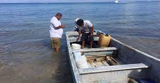 Captan pesca furtiva en Área Natural Protegida de Cozumel