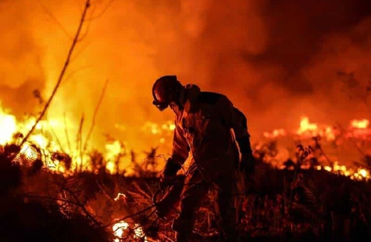 Cozumel celebra 17 años sin un gran incendio forestal