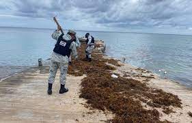 Guardia Nacional localiza cocaína escondida entre arena y sargazo de playas de Quintana Roo