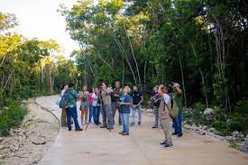 La FPMC participará en el 14 Festival de las Aves Isla Cozumel