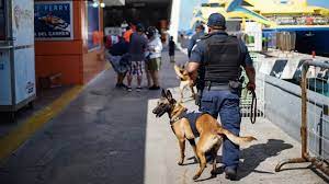 Colocación un cerco de seguridad en muelles de carga, Cozumel