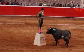 Corridas de toros no volverán a Quintana Roo, afirman diputados