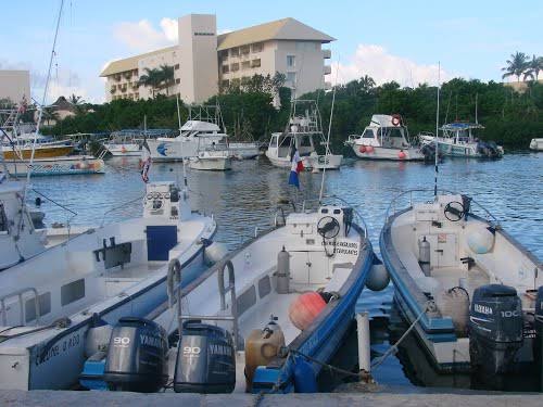 Iniciará Apiqroo mesas de diálogo con más de 150 prestadores de servicio de la Caleta Cozumel