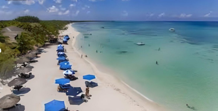 Estas son las mejores playas de Cozumel para visitar en las vacaciones