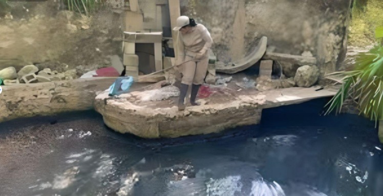 Cenote en Cozumel es contaminado con aceite