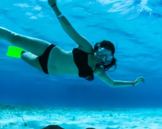 Nada con estrellas de mar en este destino de Quintana Roo