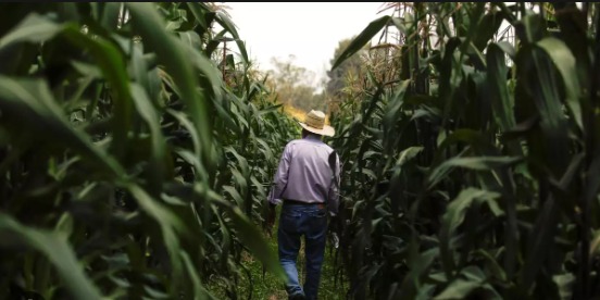 La agricultura y turismo en México resentirán más el cambio climático