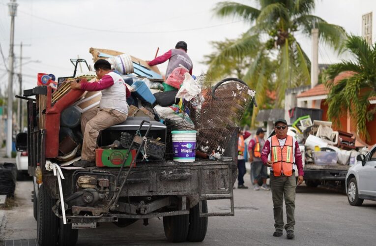 En el Panorama Epidemiológico de Dengue 2024 emitido por la Secretaría de Salud Nacional se registraron cero casos para Cozumel en los primeros días del año