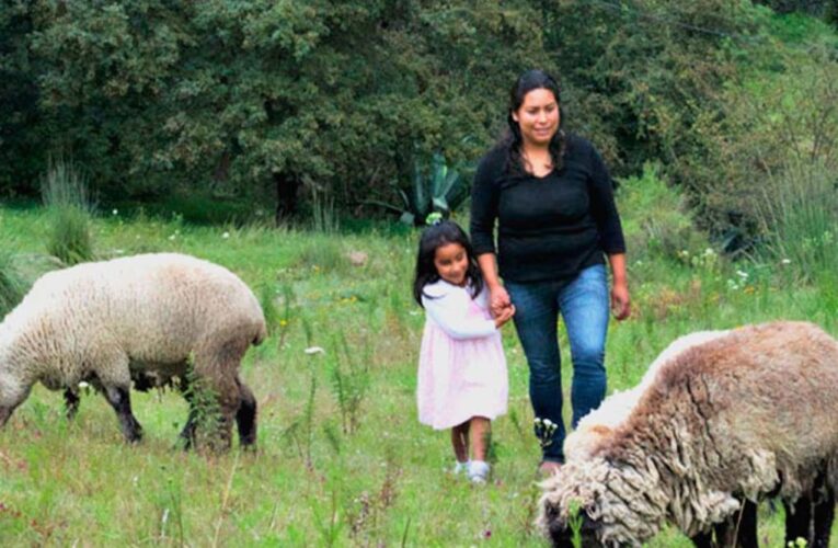 Avanza en San Lázaro reforma en igualdad de género de mujeres ganaderas