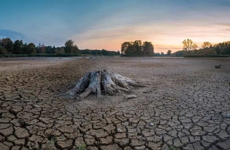 Sequía se extiende a casi 80% del país; hay 10 estados con 100% de municipios afectados