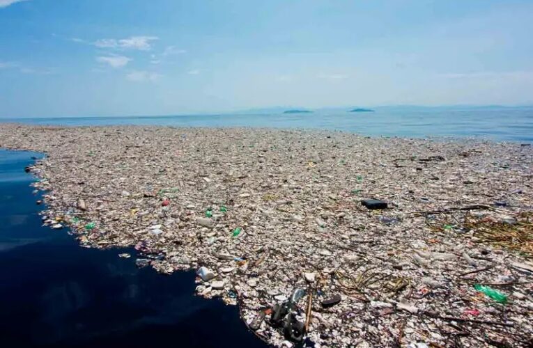 Revelan imágenes inquietantes del colosal basurero que flota en el mar