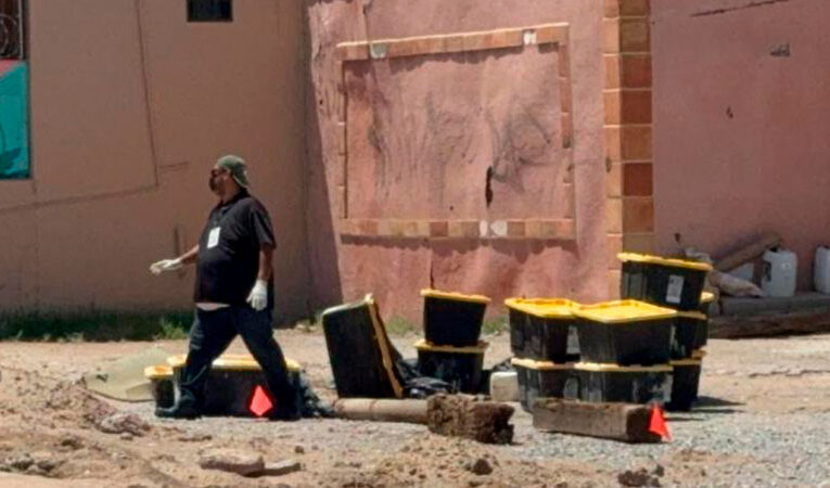 Borrador automáticoAbandonan 17 cajas con tortugas muertas en Ciudad Juárez