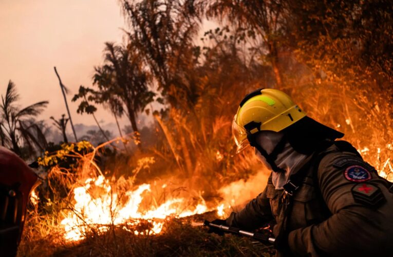 Incendios consumieron casi 7 millones de hectáreas en la Amazonía brasileña