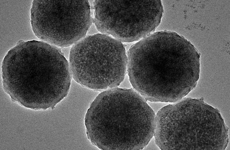 Nanorobots capaces de reparar aneurismas en el cerebro