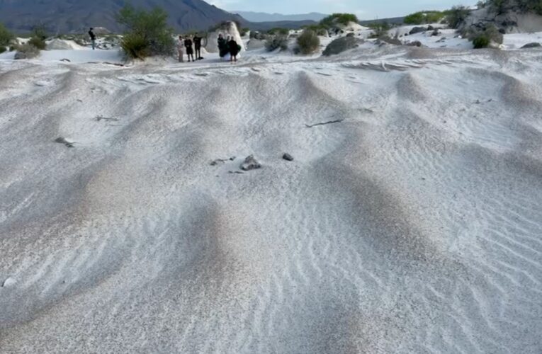 Las dunas de yeso en Coahuila, uno de los desiertos de arena blanca más espectaculares del mundo