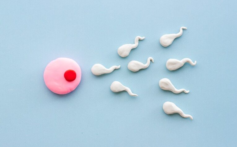 Los Ángeles acoge la primera carrera de espermatozoides de la historia