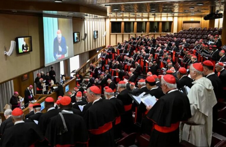 Cardenales perfilan al nuevo Papa; un pastor preocupado por la gente y el cambio climático